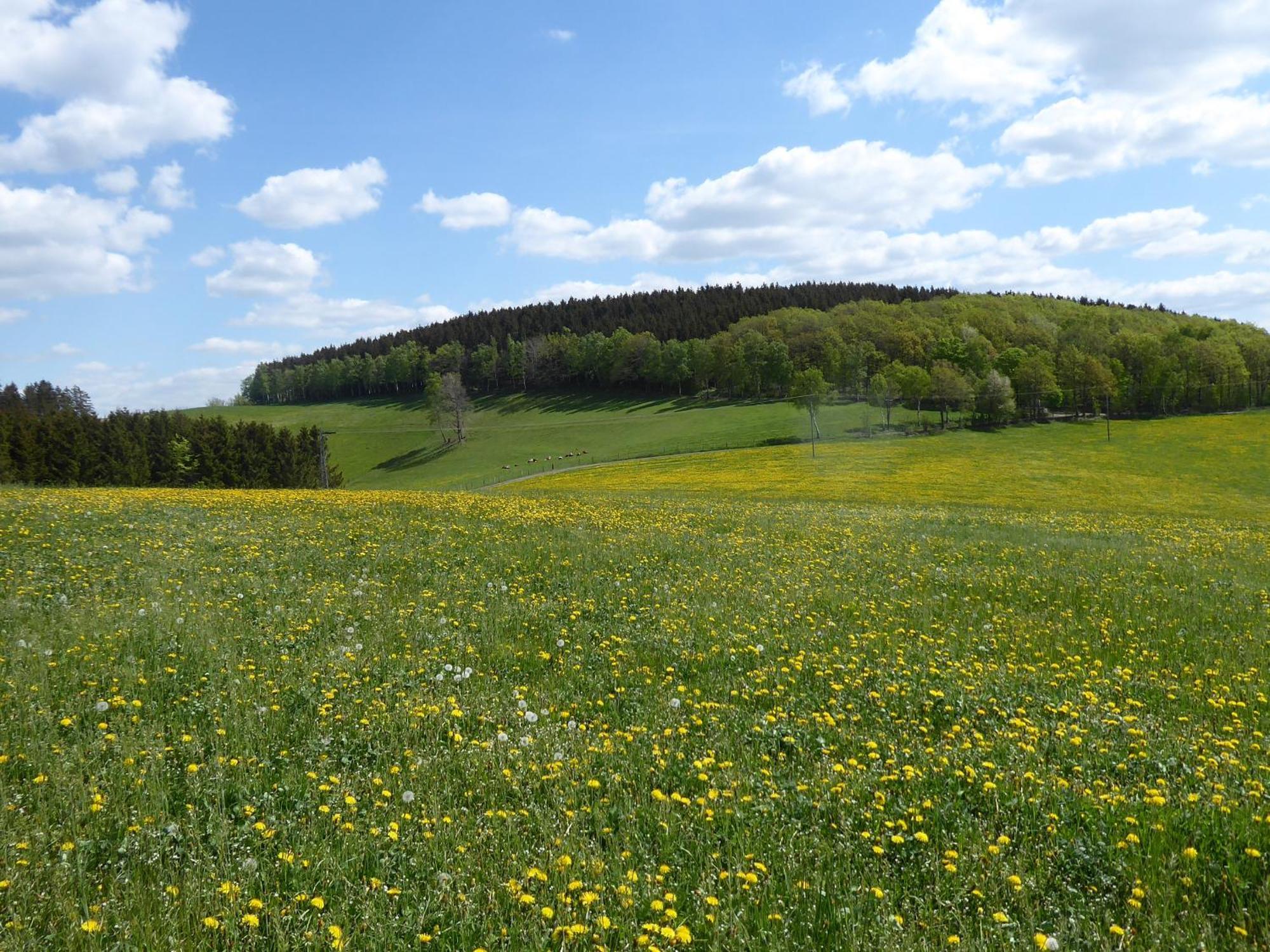 Ferienwohnungen Schimsheimer Rhode Olpe bei Meschede Exterior foto